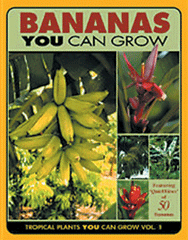 Bananas You Can Grow