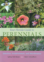 Your Florida Guide to Perennials